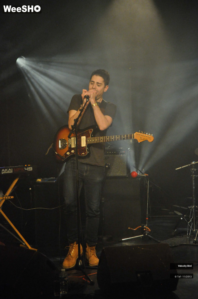 7/43 photos du spectacle Velocity Bird