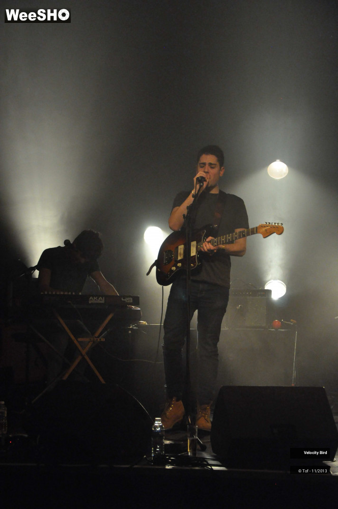 9/43 photos du spectacle Velocity Bird