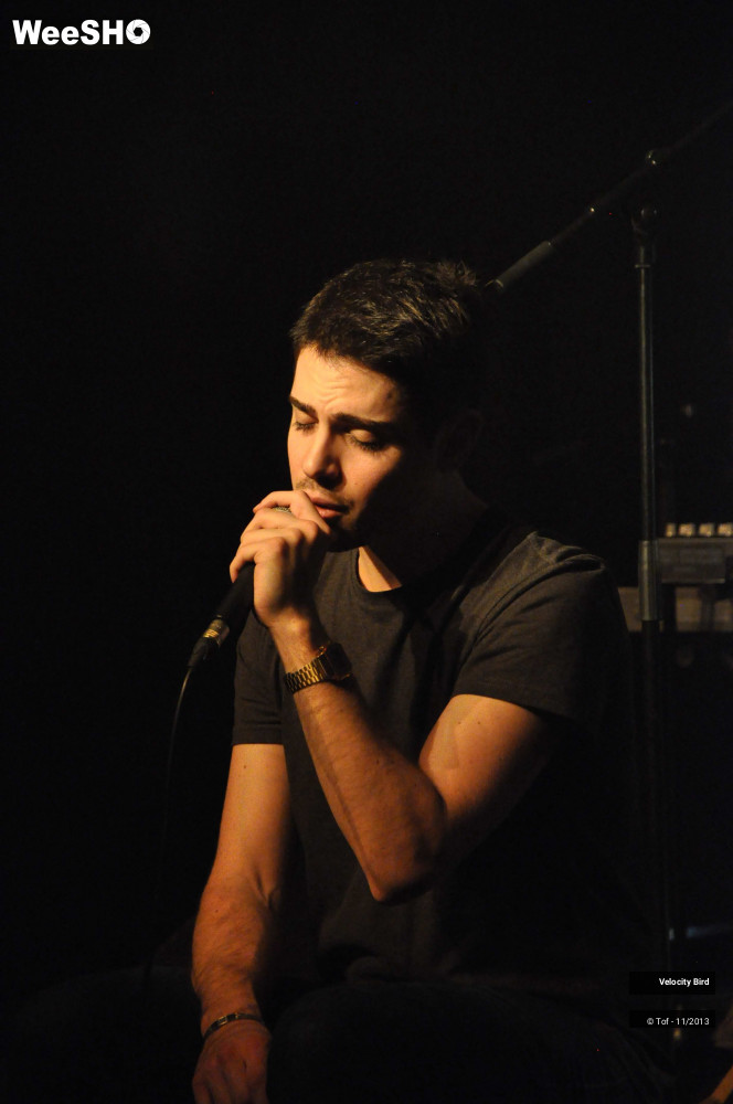 11/43 photos du spectacle Velocity Bird