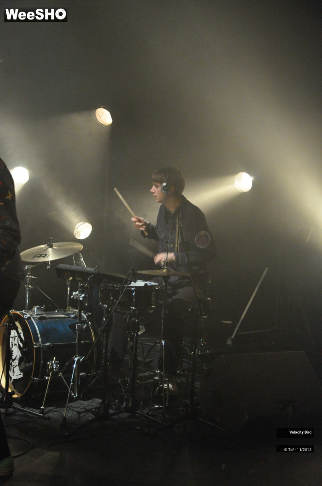 12/43 photos du spectacle Velocity Bird