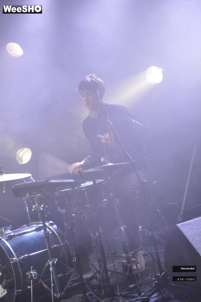 14/43 photos du spectacle Velocity Bird