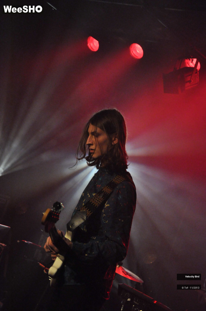 16/43 photos du spectacle Velocity Bird