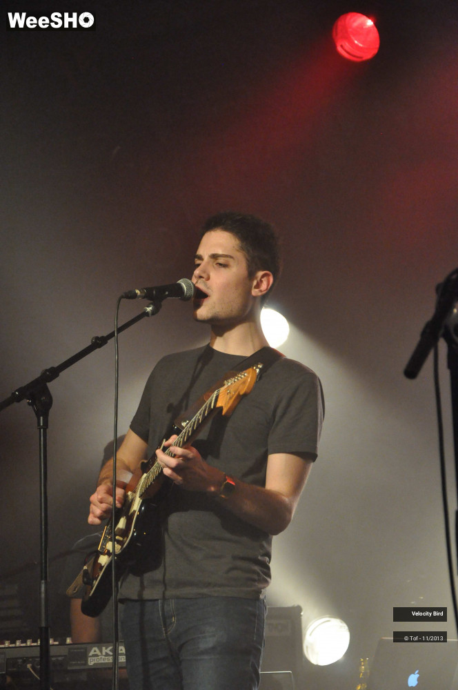 18/43 photos du spectacle Velocity Bird