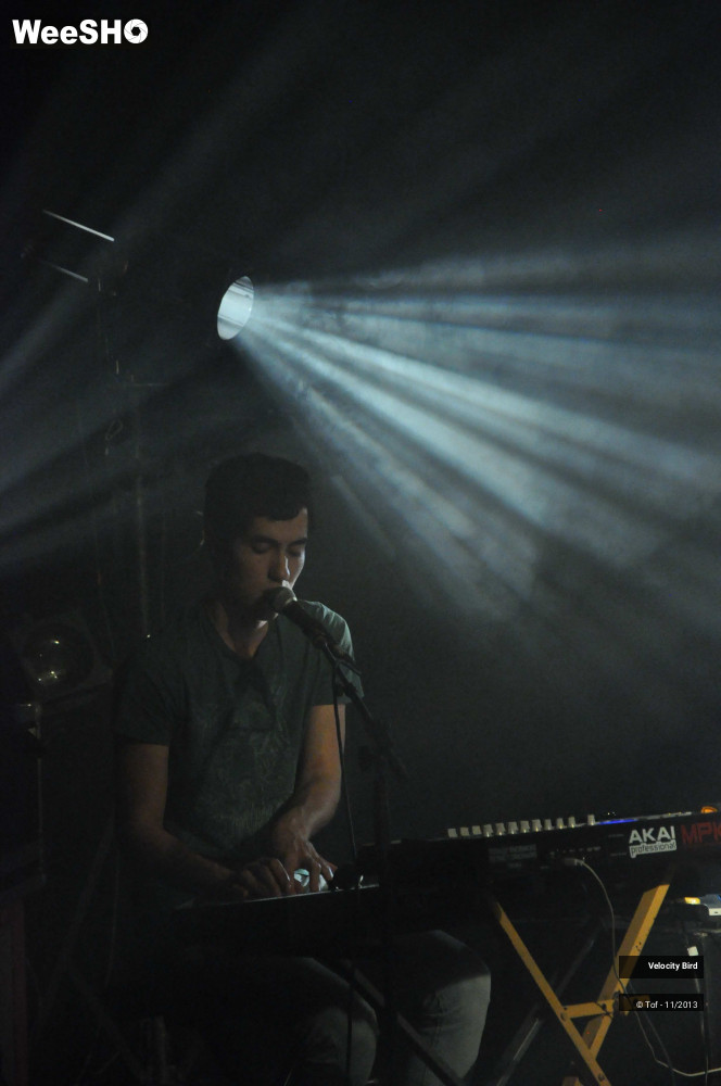 21/43 photos du spectacle Velocity Bird