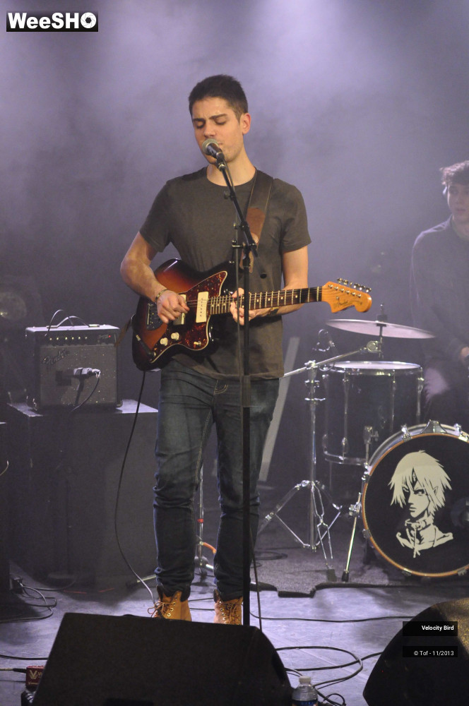 22/43 photos du spectacle Velocity Bird