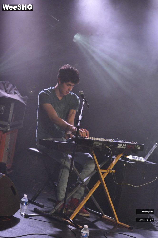 23/43 photos du spectacle Velocity Bird