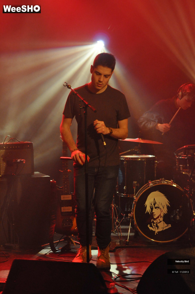24/43 photos du spectacle Velocity Bird