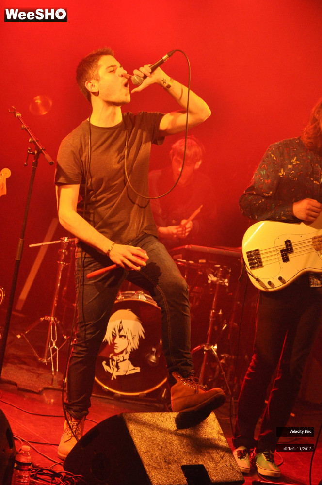 25/43 photos du spectacle Velocity Bird