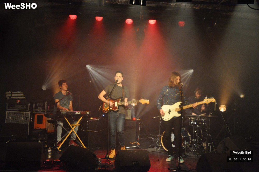 26/43 photos du spectacle Velocity Bird