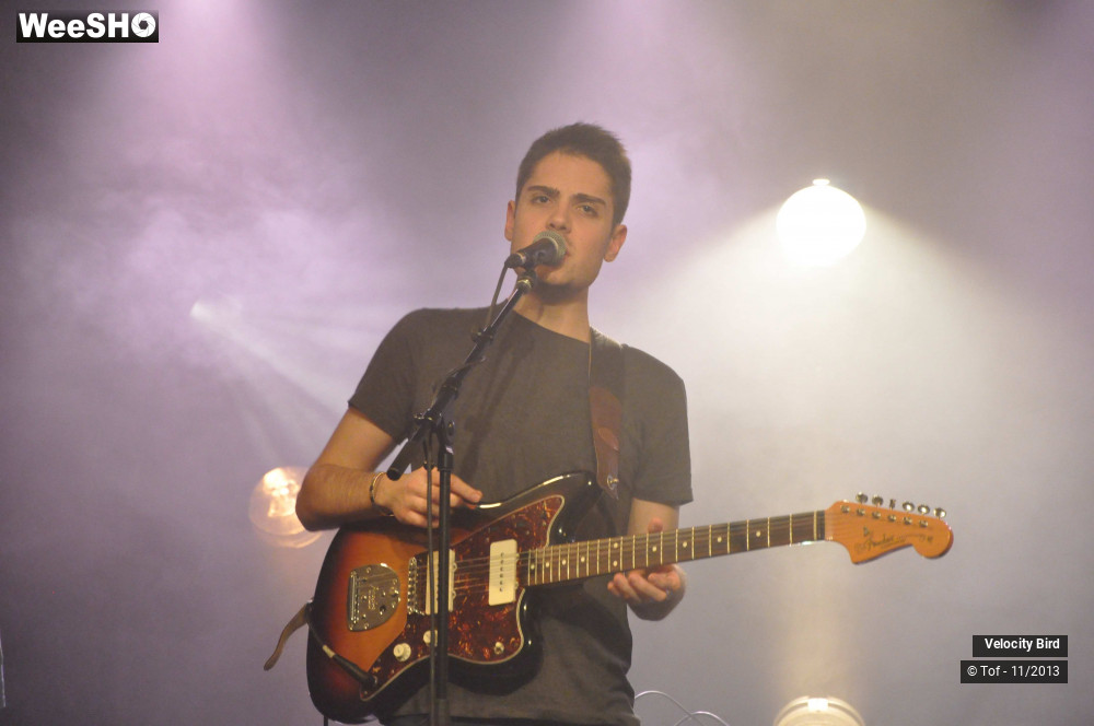 28/43 photos du spectacle Velocity Bird