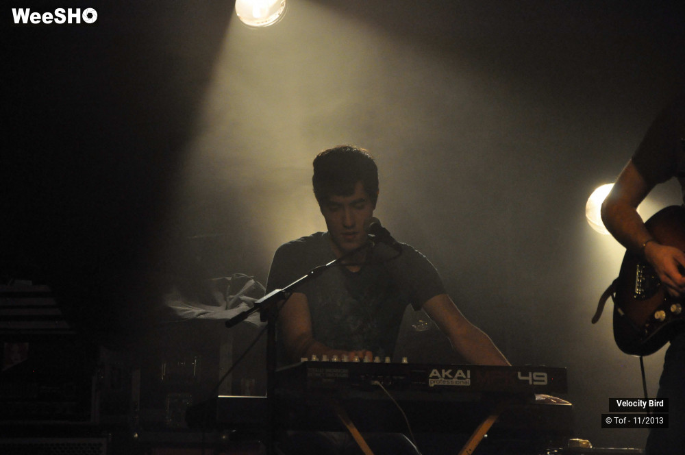 29/43 photos du spectacle Velocity Bird