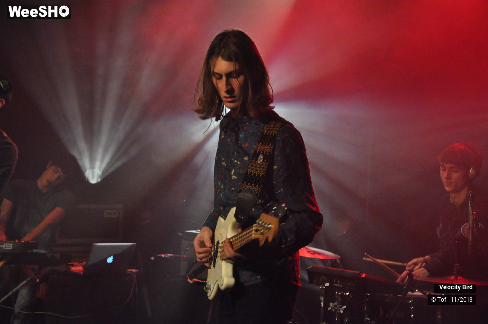 32/43 photos du spectacle Velocity Bird