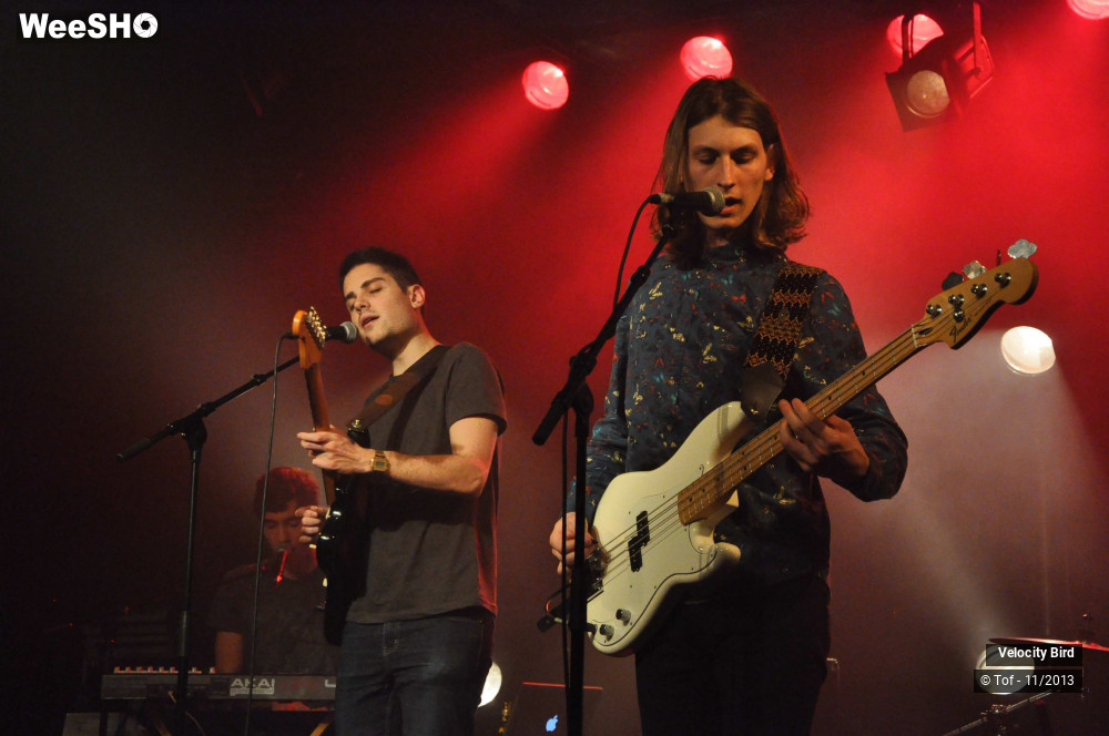 33/43 photos du spectacle Velocity Bird