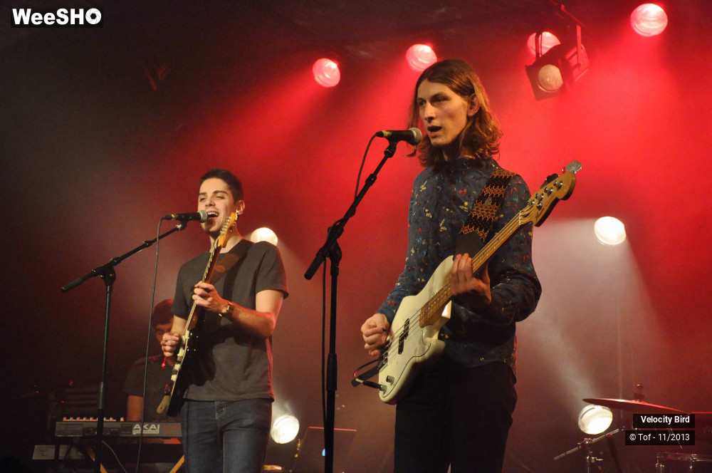 34/43 photos du spectacle Velocity Bird