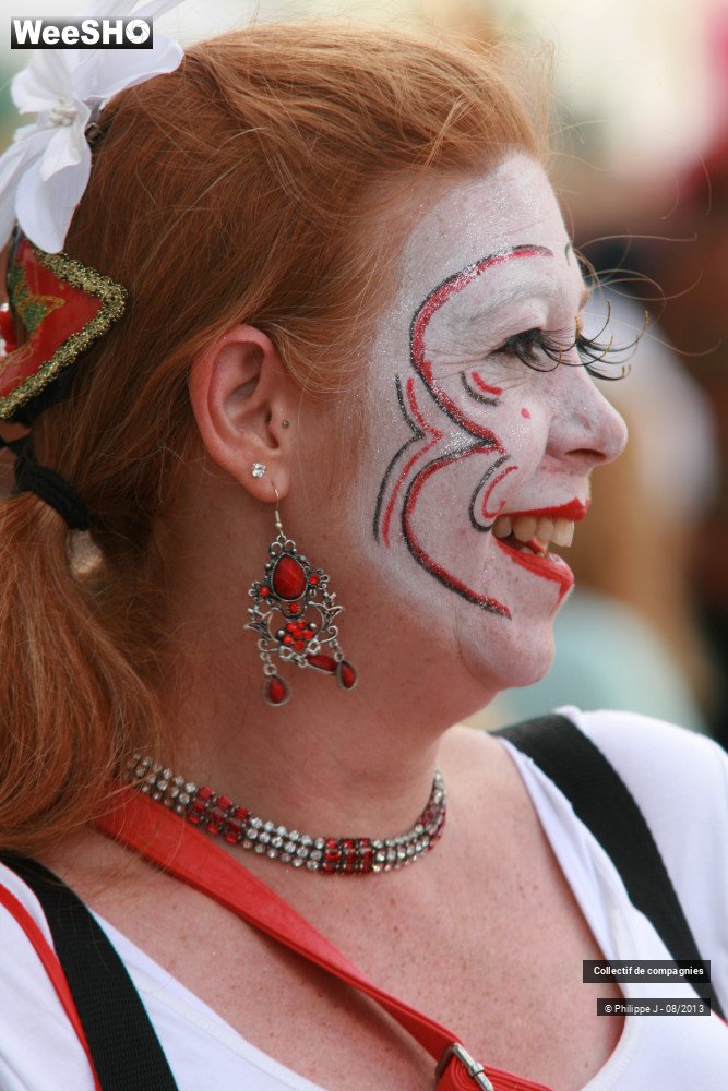 3/39 photos du spectacle Zomer Carnaval 2013