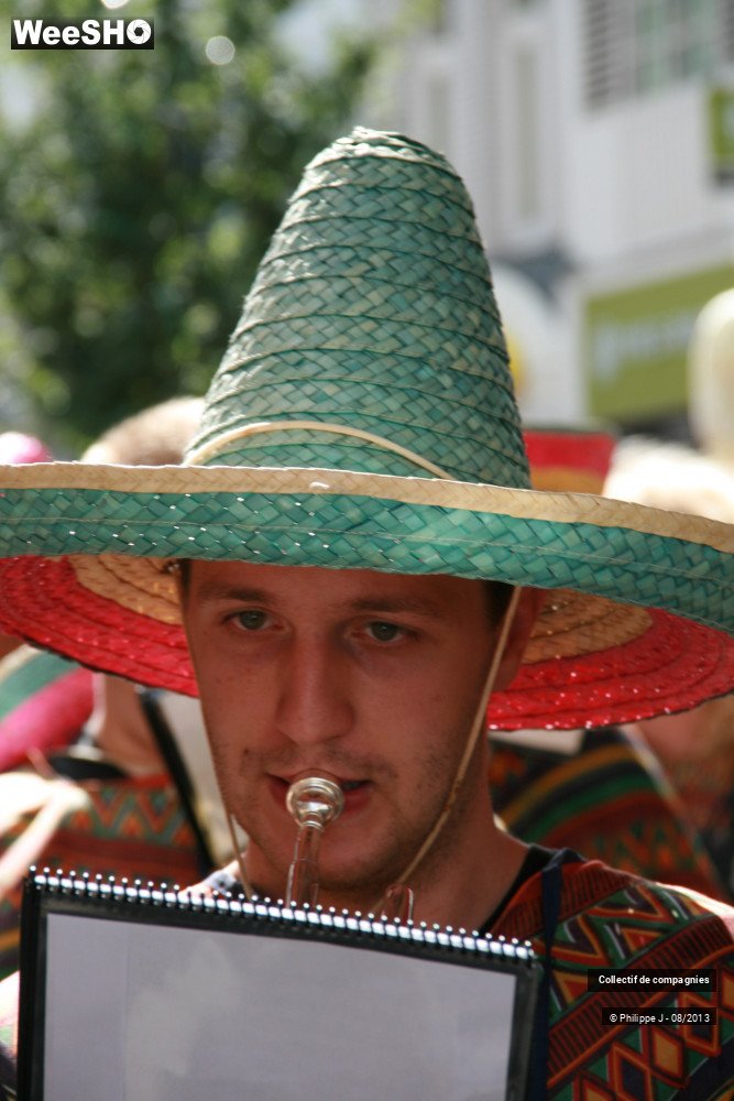 5/39 photos du spectacle Zomer Carnaval 2013