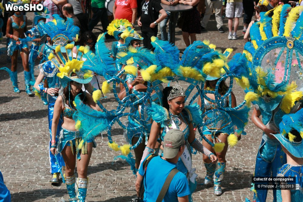 12/39 photos du spectacle Zomer Carnaval 2013