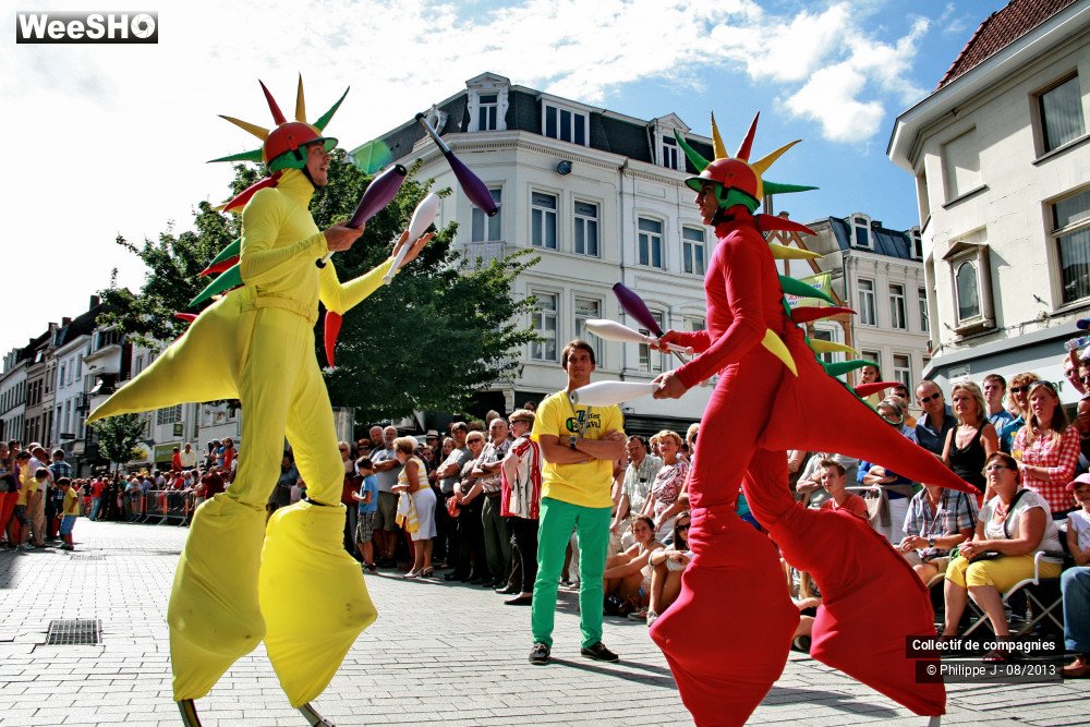 14/39 photos du spectacle Zomer Carnaval 2013