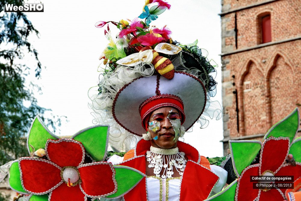 33/39 photos du spectacle Zomer Carnaval 2013