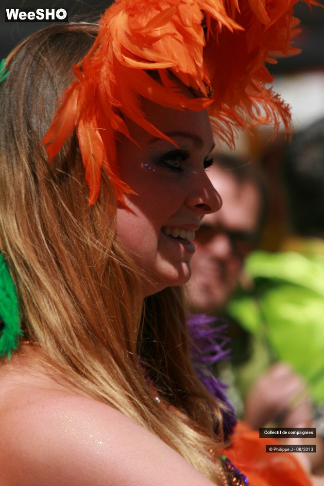 34/39 photos du spectacle Zomer Carnaval 2013