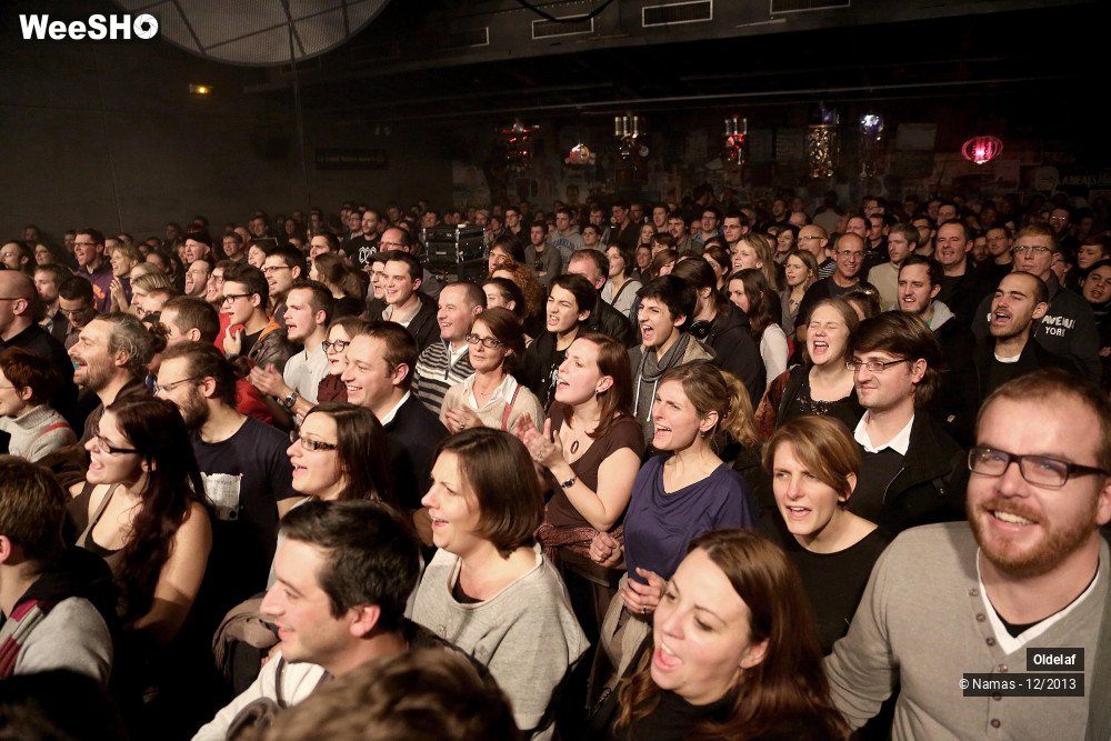 21/38 photos du spectacle oldelaf