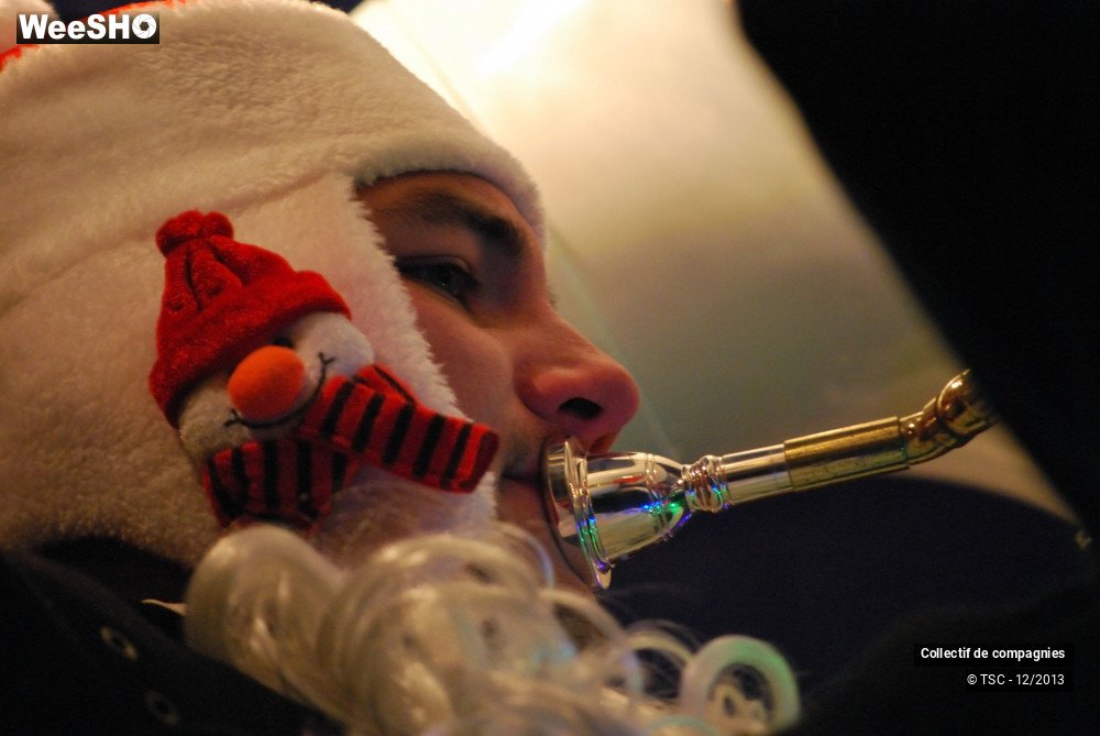 36/36 photos du spectacle Les tubas de Noël