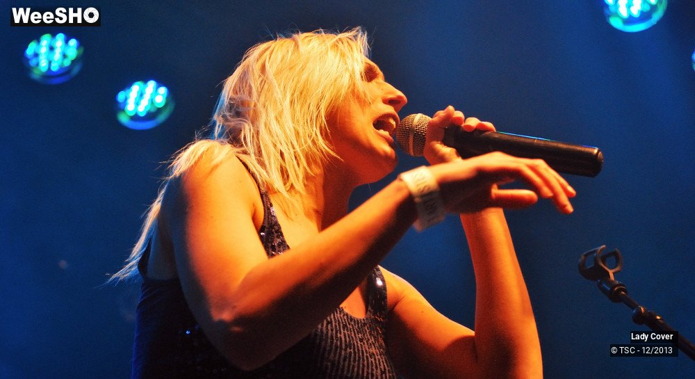 3/49 photos du spectacle Lady Cover