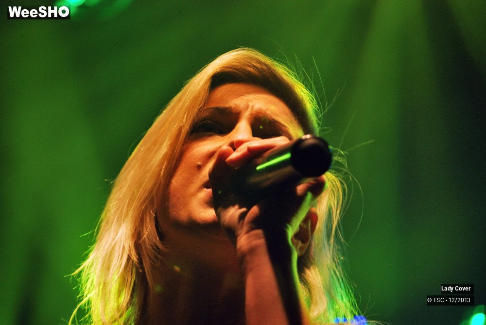 13/49 photos du spectacle Lady Cover