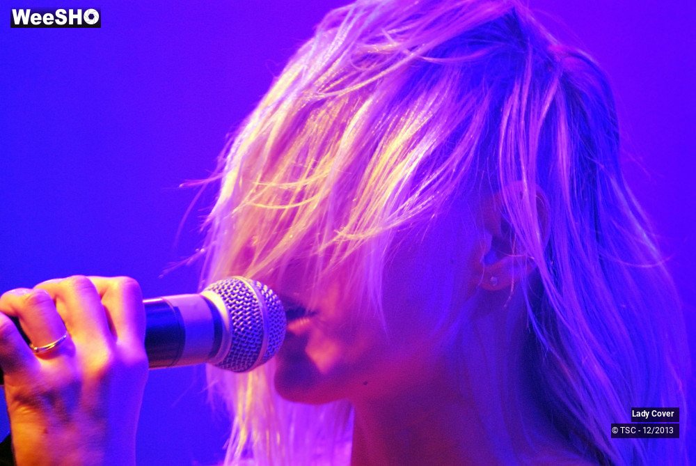 16/49 photos du spectacle Lady Cover