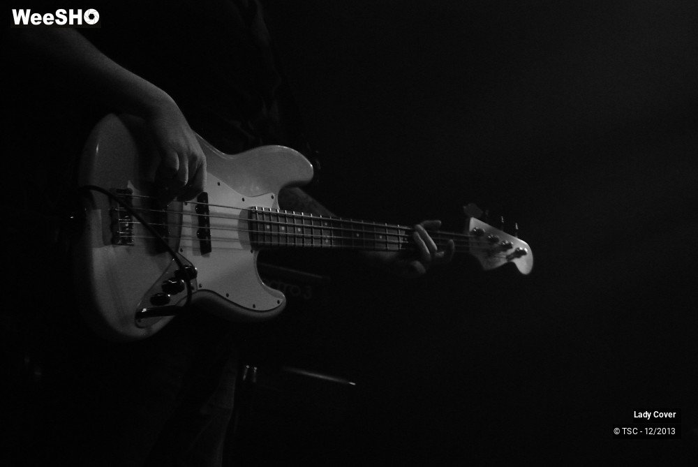 17/49 photos du spectacle Lady Cover