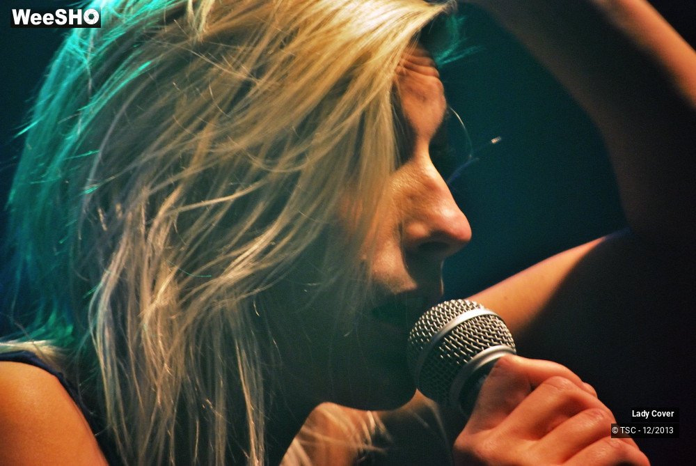 22/49 photos du spectacle Lady Cover