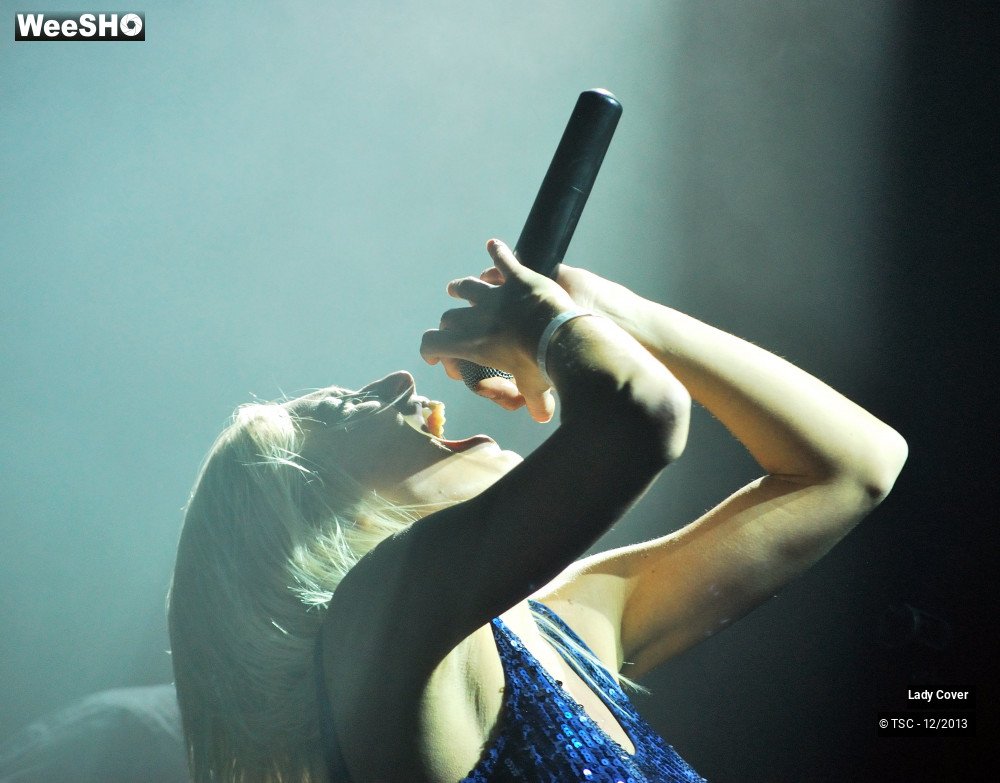 28/49 photos du spectacle Lady Cover