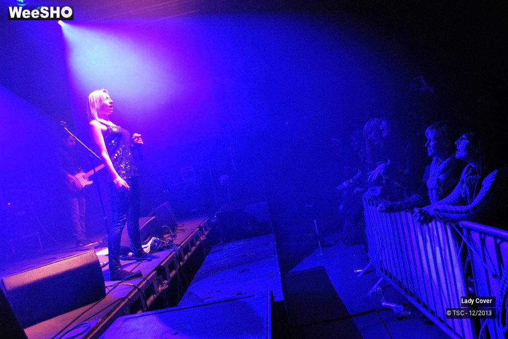 30/49 photos du spectacle Lady Cover