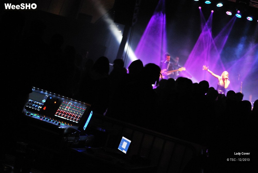 31/49 photos du spectacle Lady Cover