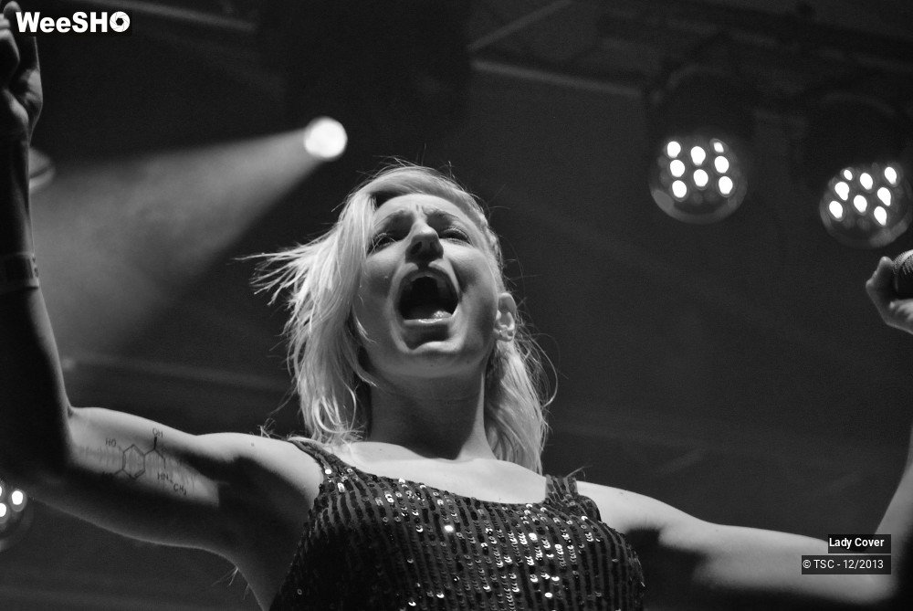 32/49 photos du spectacle Lady Cover