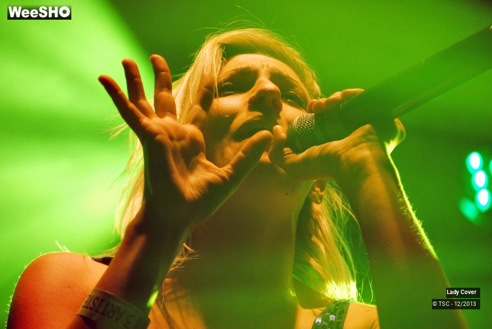 34/49 photos du spectacle Lady Cover