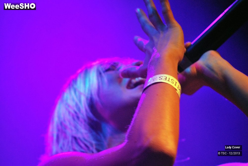 38/49 photos du spectacle Lady Cover