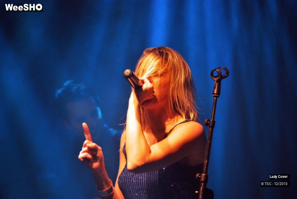 40/49 photos du spectacle Lady Cover