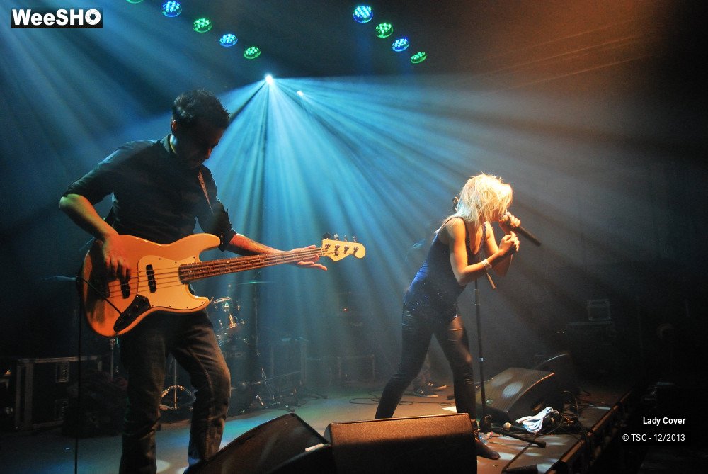 42/49 photos du spectacle Lady Cover