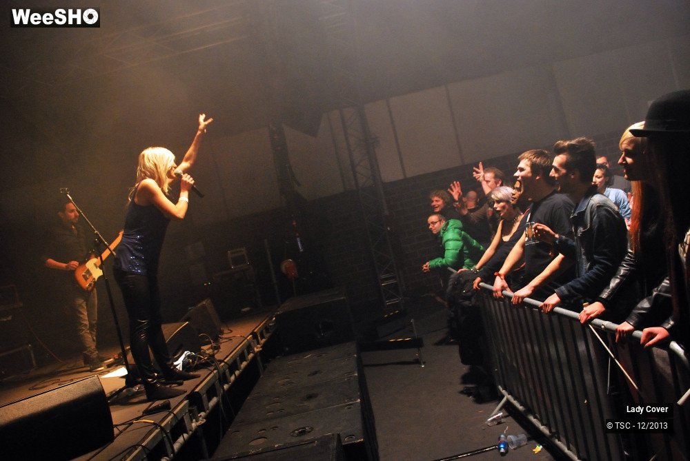 46/49 photos du spectacle Lady Cover