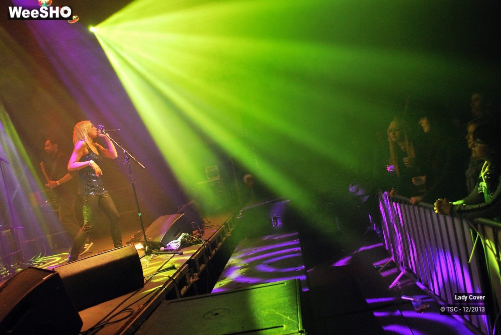 47/49 photos du spectacle Lady Cover