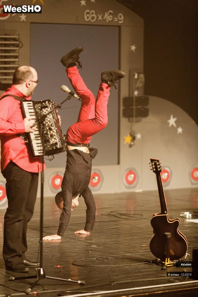 21/31 photos du spectacle Aldebert