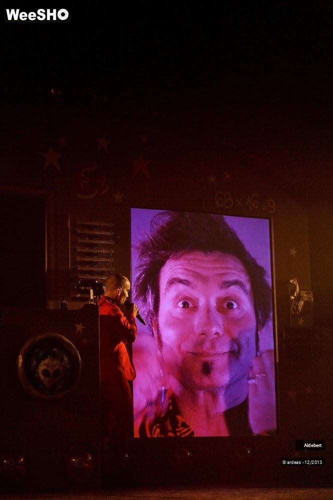 23/31 photos du spectacle Aldebert