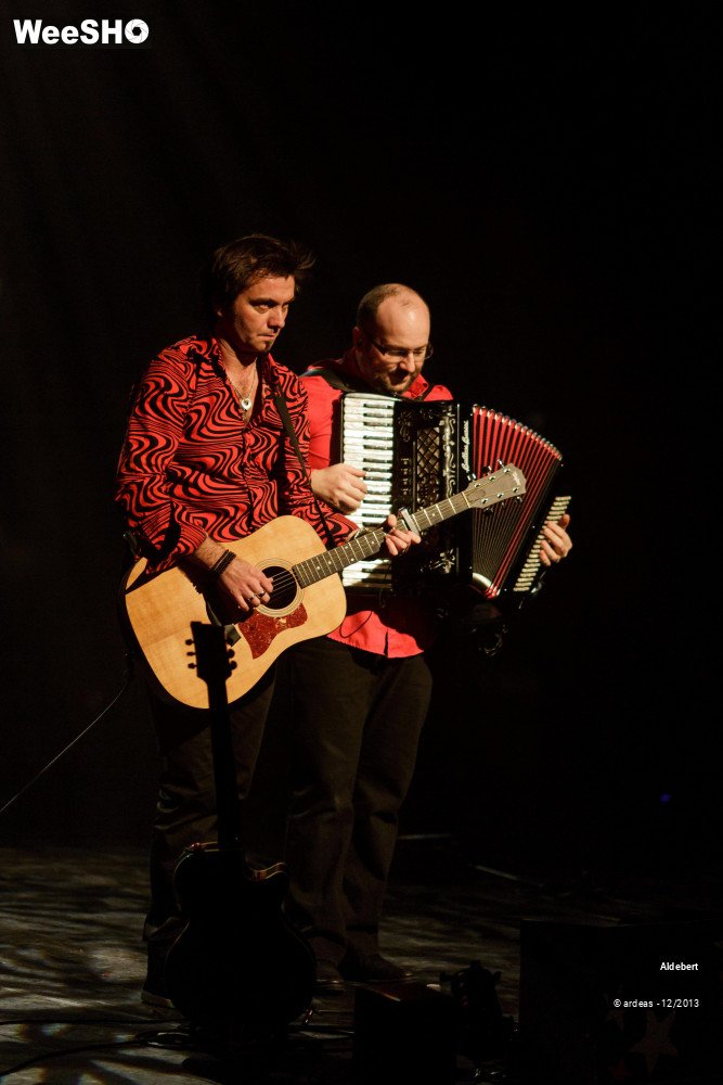 24/31 photos du spectacle Aldebert