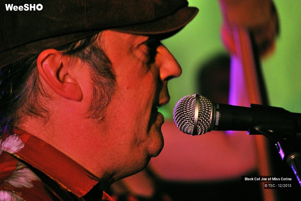 17/17 photos du spectacle Black Cat Joe et Miss Corina