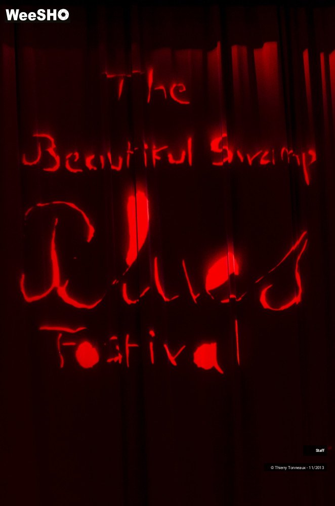 14/16 photos du spectacle Beautiful Swamp Blues Festival - Ambiance