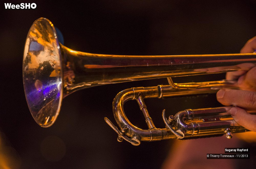 18/42 photos du spectacle Sugaray Rayford