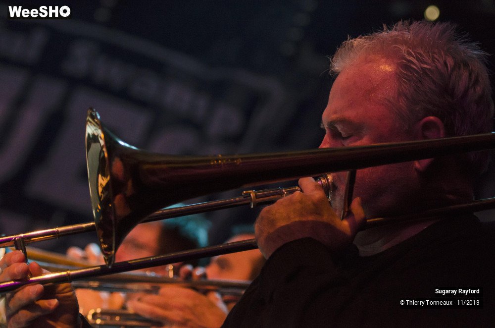 19/42 photos du spectacle Sugaray Rayford
