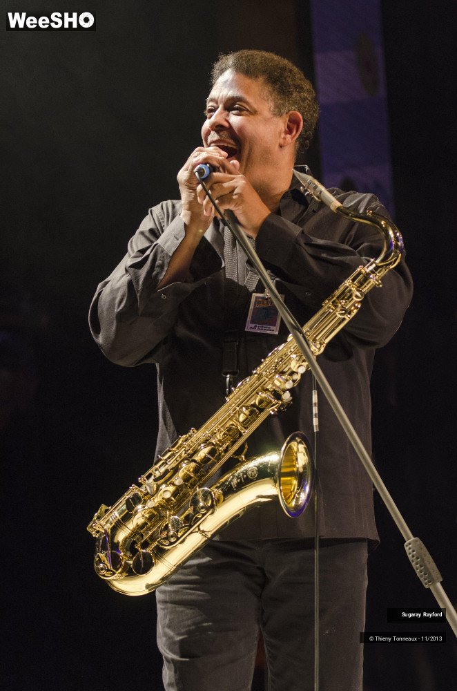 29/42 photos du spectacle Sugaray Rayford