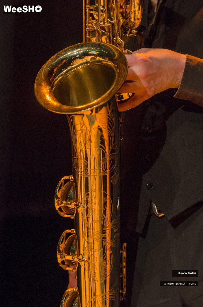 30/42 photos du spectacle Sugaray Rayford